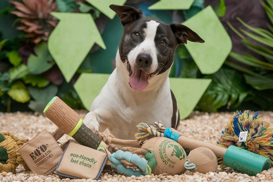 Eco-Friendly Pet Toys: Sustainable Choices for Your Furry Friends